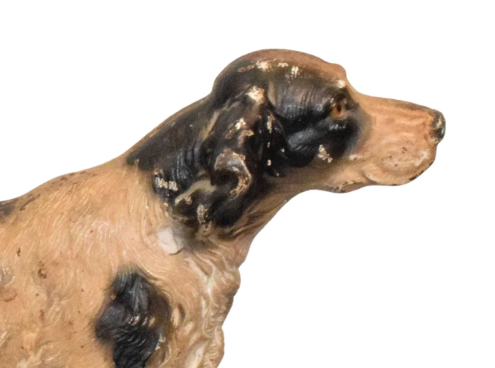 237245421_4_x.jpg.jpeg