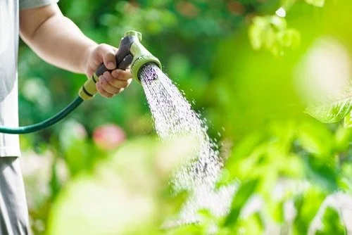 ESG investment market is forecast to grow 17.3% a year to 2035