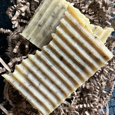 BCC44D8B-2273-4EA7-8636-25D8E4328C1D (1).jpeg