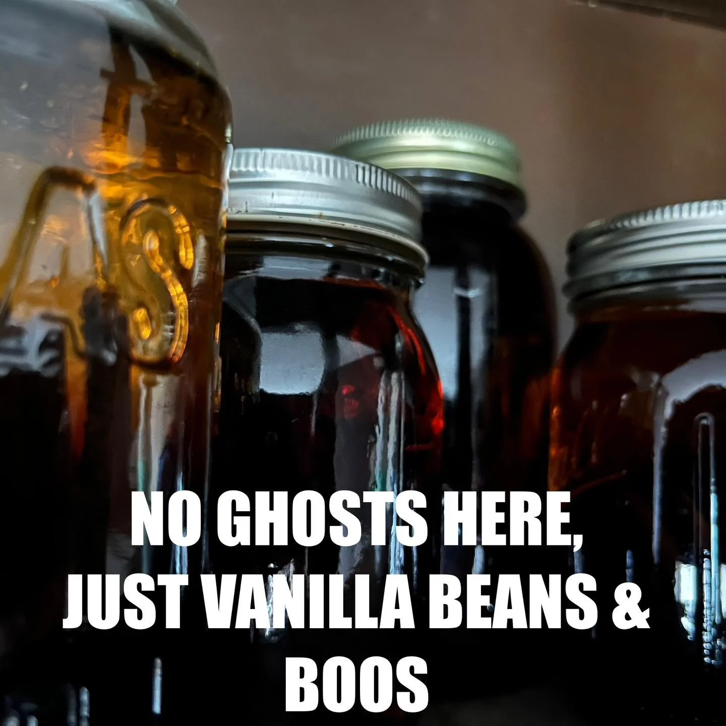We make vanilla extract in bulk every couple of years because we do a lot of baking and this recipe gets better with age.  It&rsquo;s best to let the beans infuse for several months before using, so these jars will be ready next year!

DIY Vanilla Ex