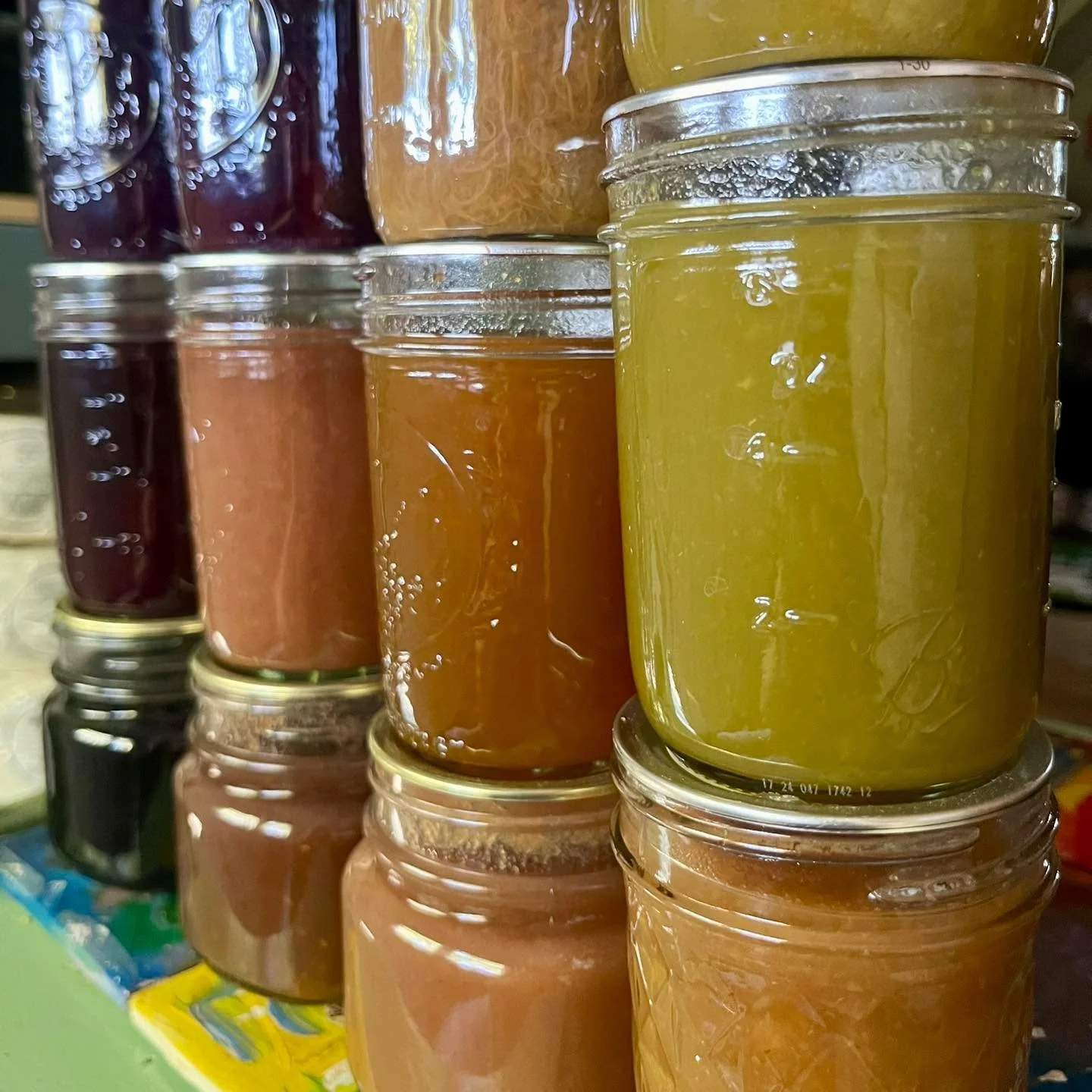 Crop report for our Holiday Market &amp; Open House on November 15th, 2-5 PM: mild temps, lots of food, and preserving gone WILD 🌈 🍐

-Free event, all are welcome: seed-saving &amp; processing demos with @biggardenomaha 🌱 Ask a Master Gardener tab