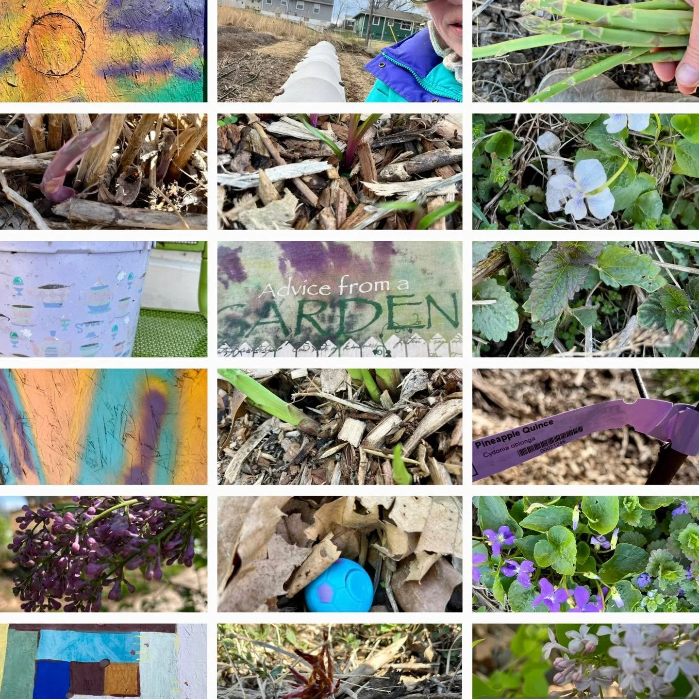 Get outside to do a COLOR HUNT for a chance to win! 🌈 🎨 

✨ Simply choose a color &amp; go play outdoors - try to find 6+ outdoor color examples (in nature, urban areas, residential neighborhoods, street/retail signs, etc.); we went with purple bec