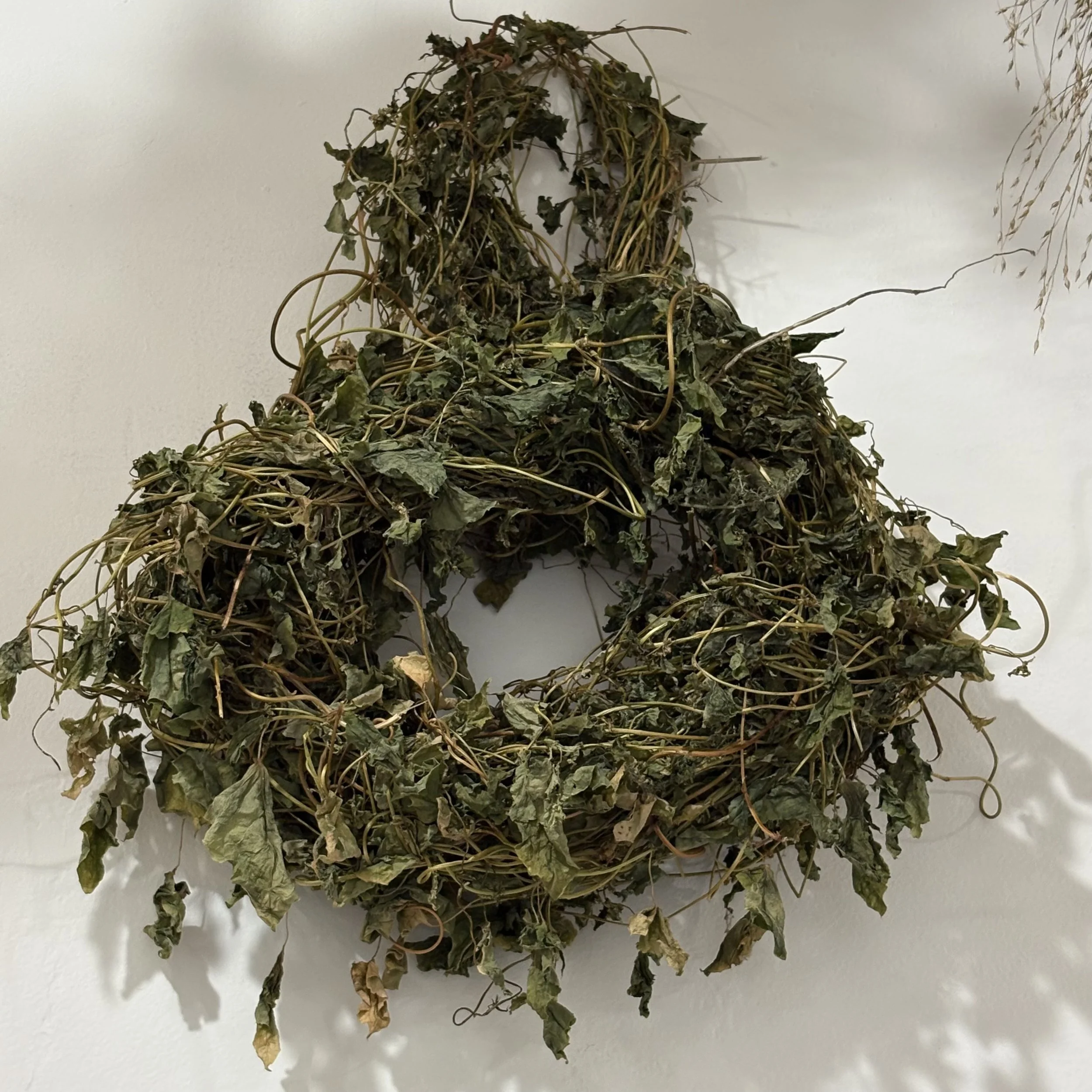IMG_2707.jpeg