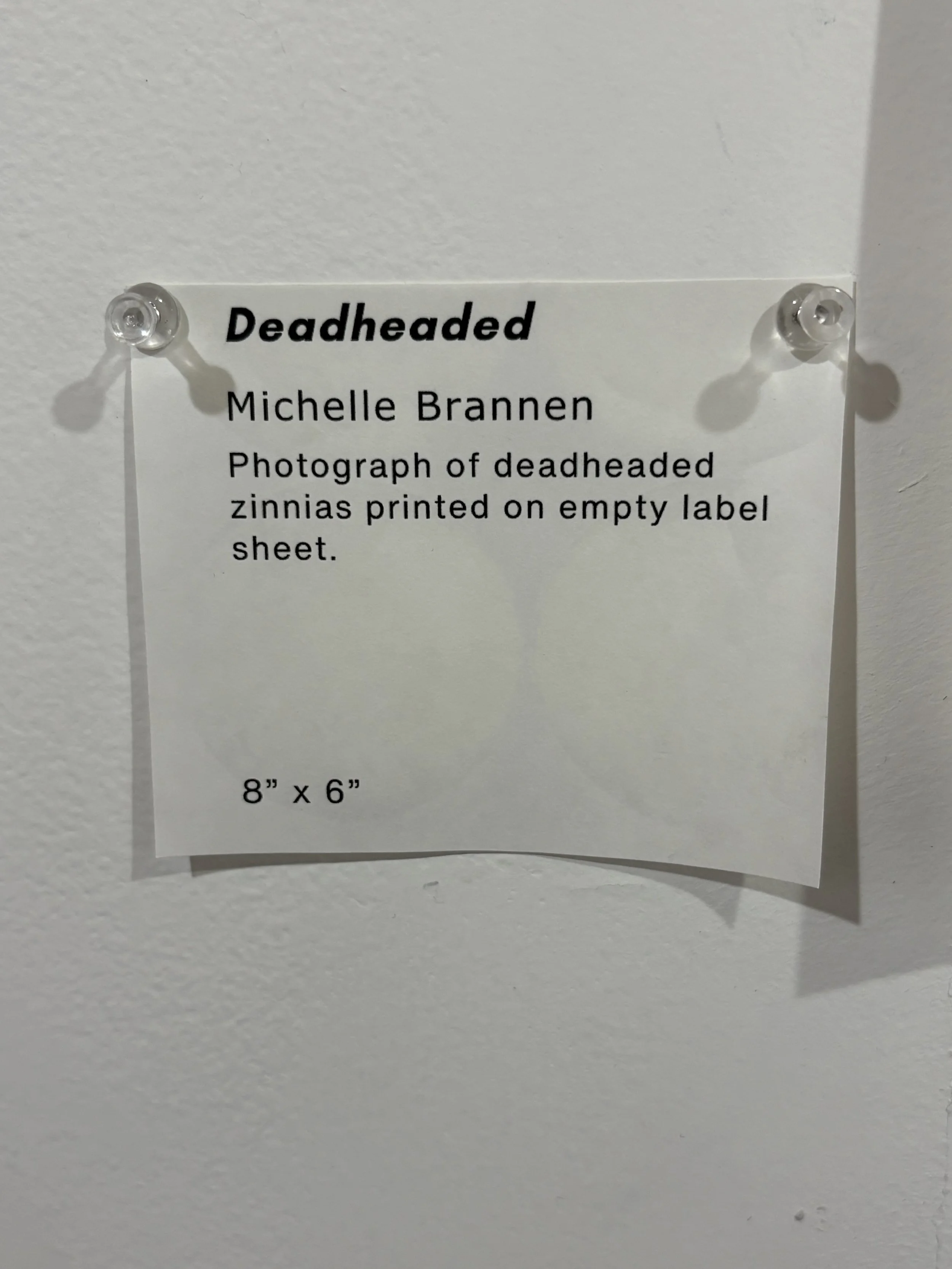 IMG_2713.jpeg