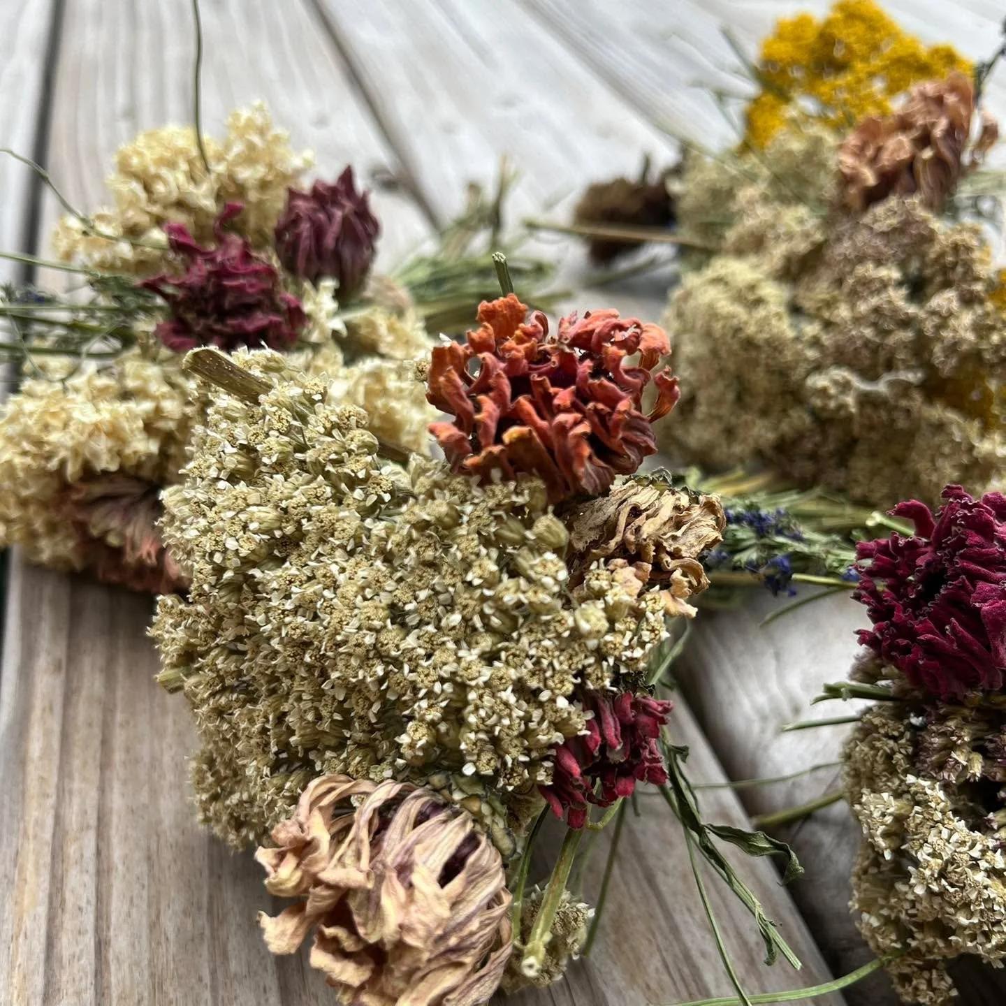 An open invite to come create &amp; details about our handmade mini bouquets follow: 

These are at the top of the list of our most eco-friendly products ♻️ 🌿 The blooms are primarily native flowers that perform beautifully during the growing season