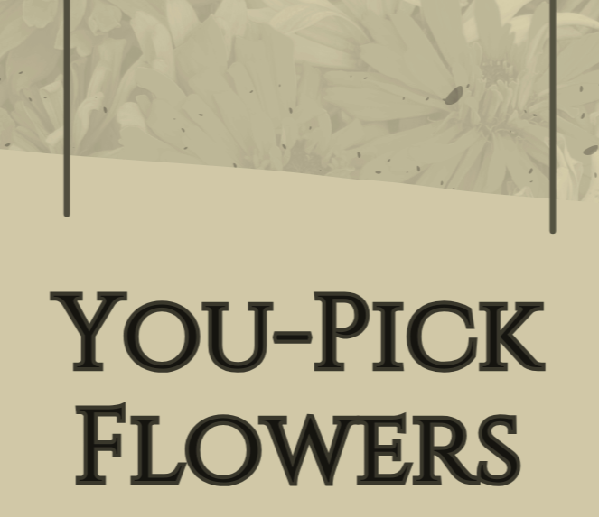 You-Pick Flowers