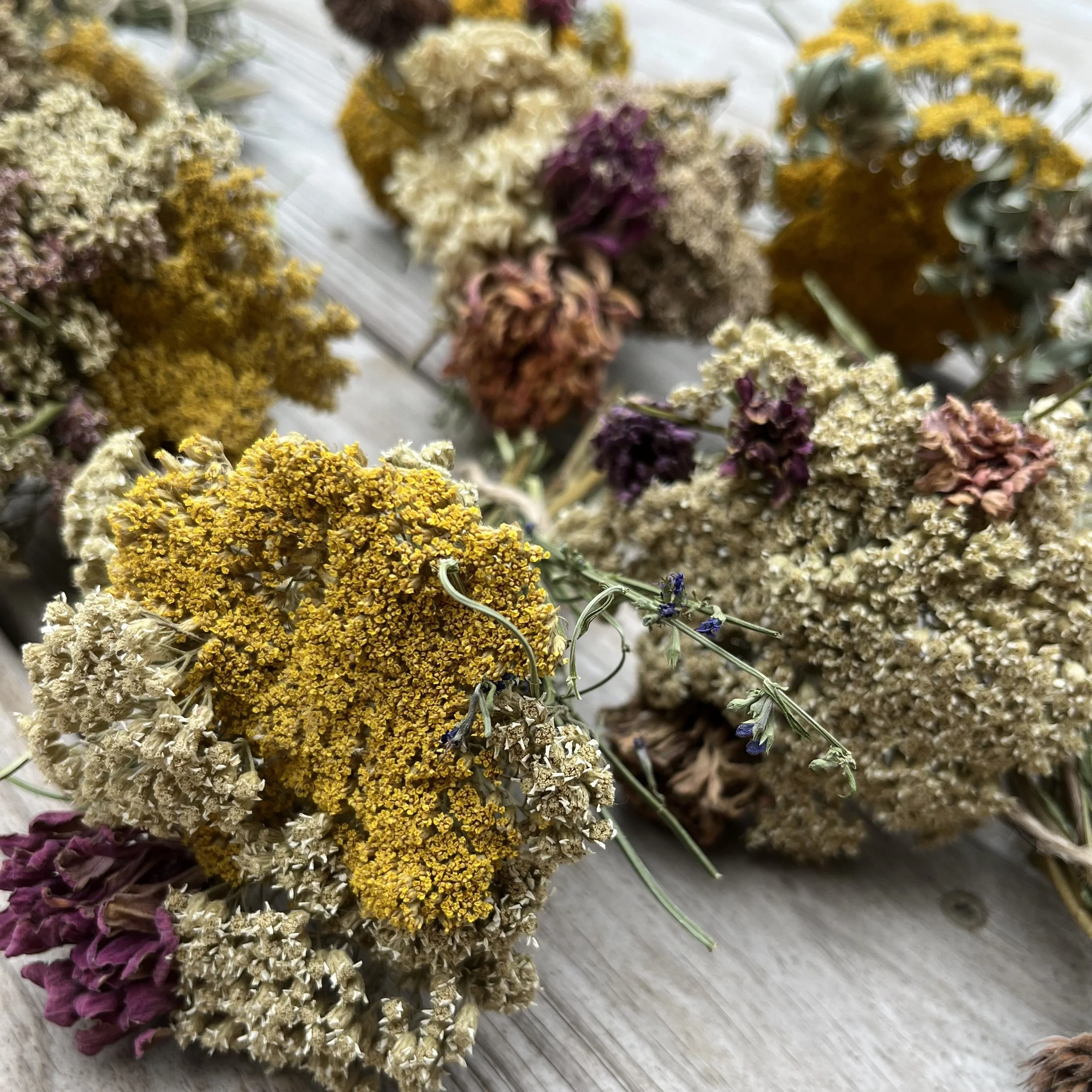 Mini Dried Flower Bouquets