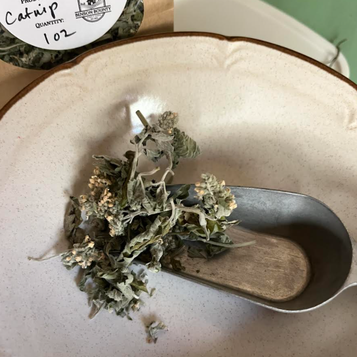 Screenshot 2025-11-02 5.10.07 PM.png