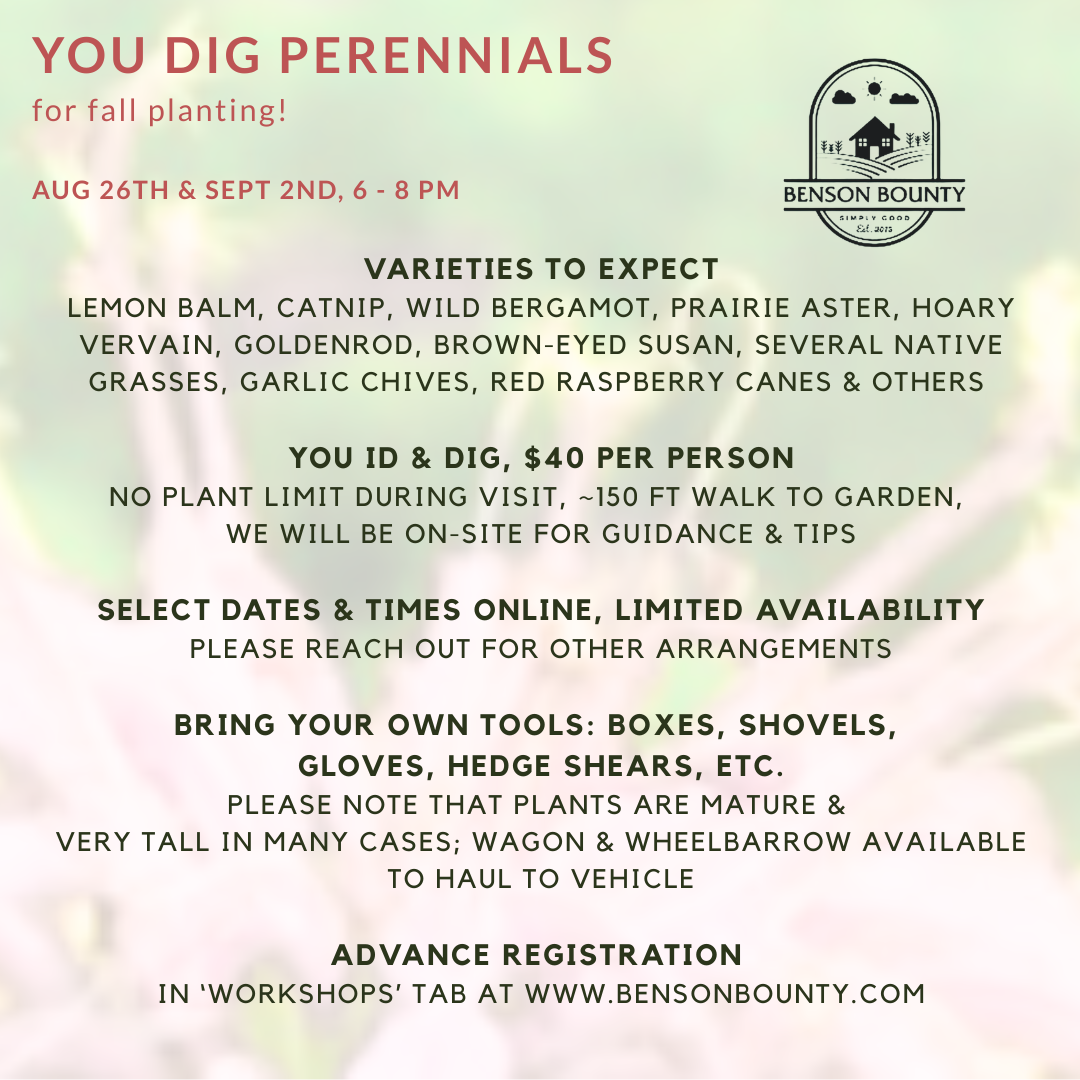 Copy of 2024 Benson Bounty workshops (1).png