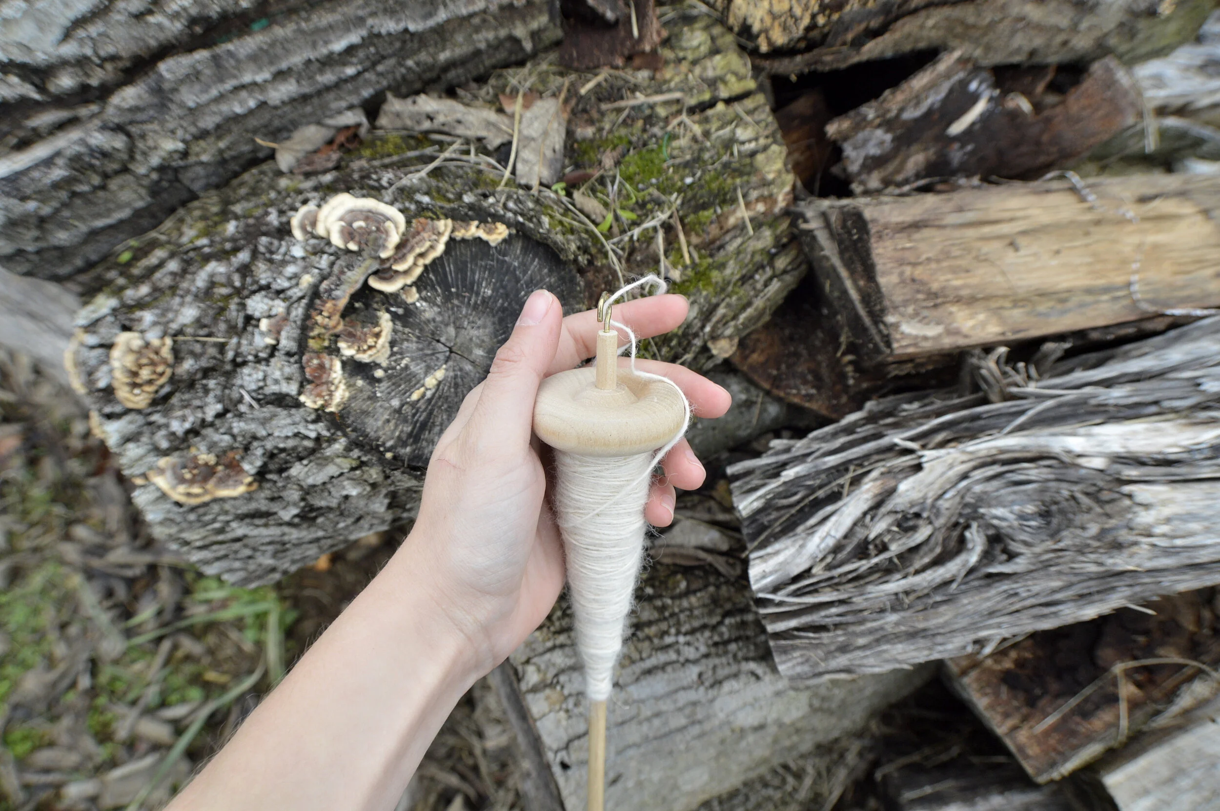 Beginner Drop Spindle Kit, Everything You Need to Handspin Yarn