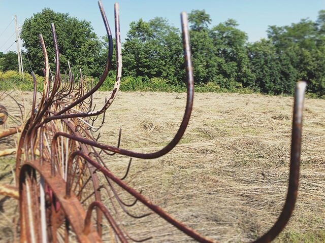 For everything there is a season... and the success of the farm&rsquo;s winter months depend on the work and harvest of the summer. The animals and myself were blessed this season with a great clover crop, and the hay has never looked so good. It is 