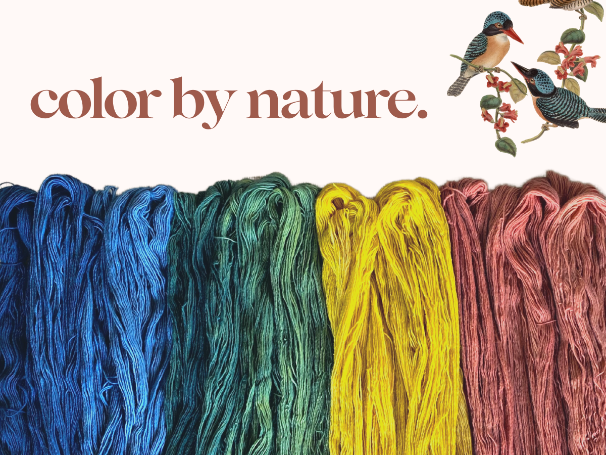 Madder + Safflower Beginner Mini Natural Dye Kit — Fiberculture