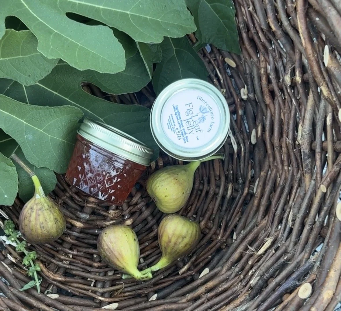 Fig Leaf Jelly Recipe