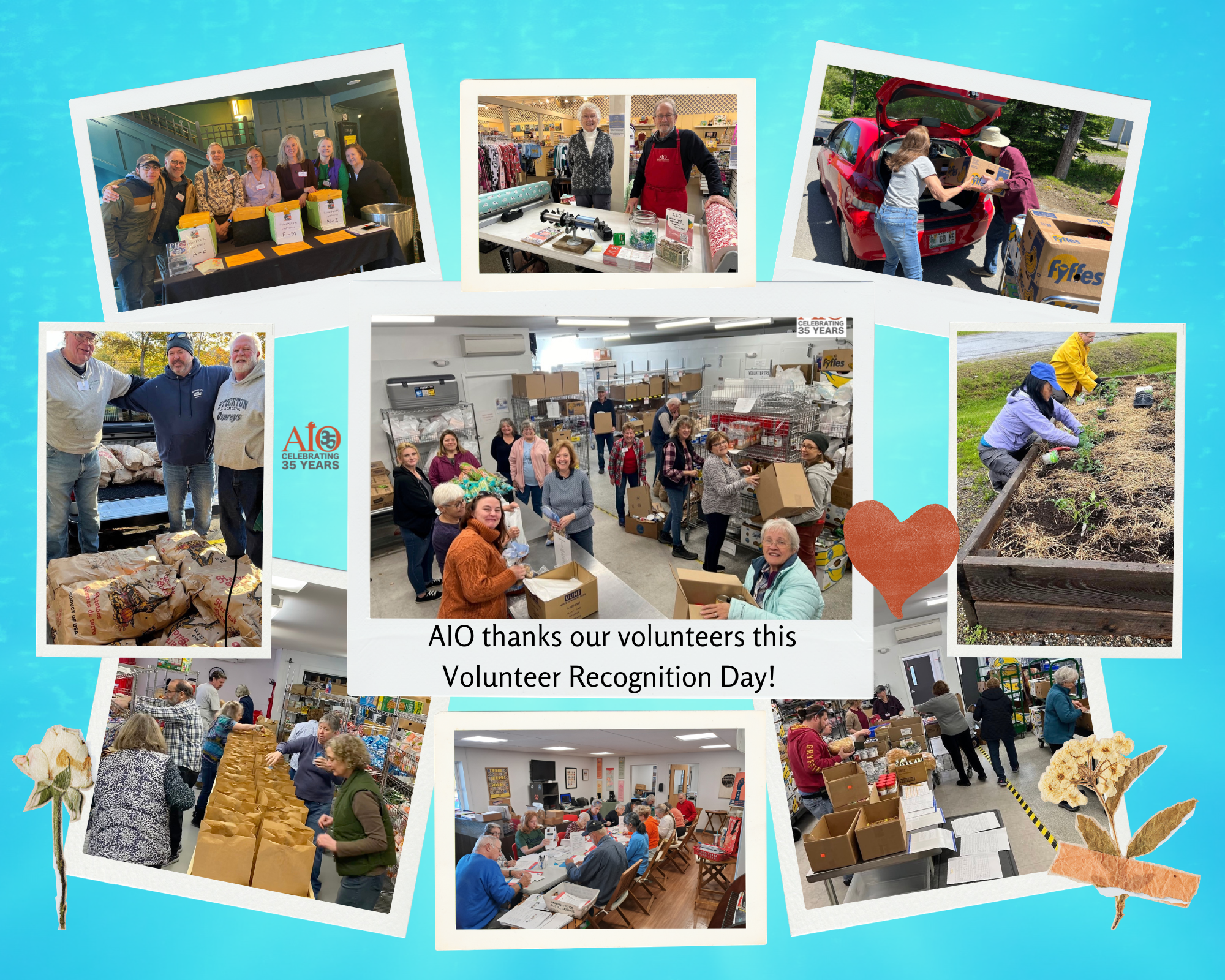 AIO Celebrates Volunteers!