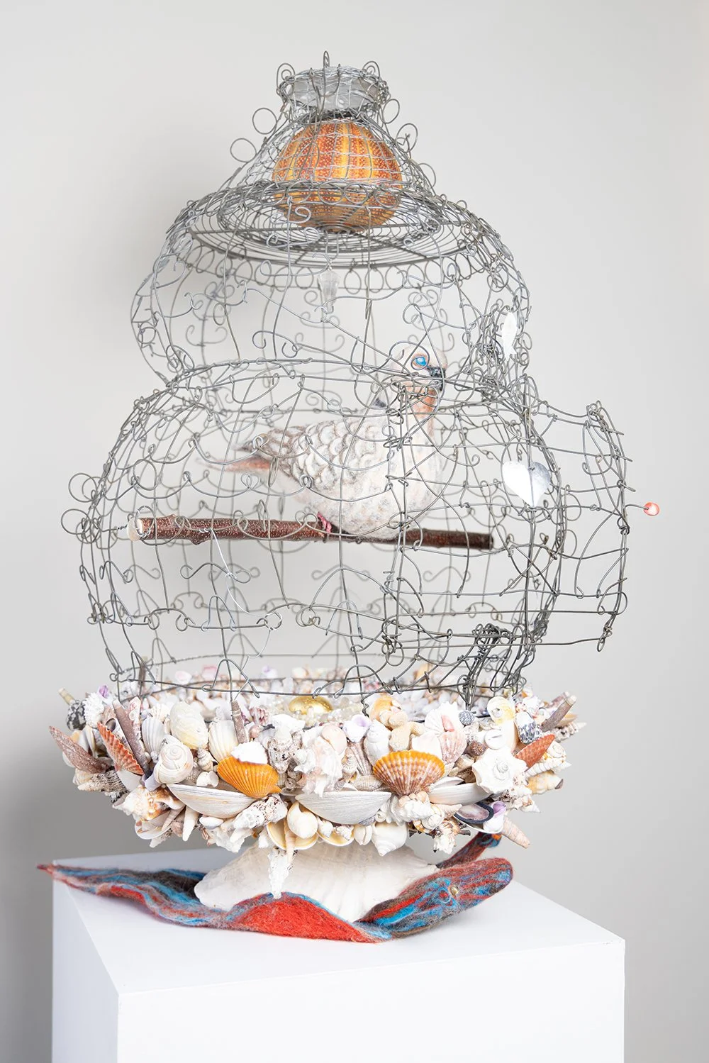Polly Ryel