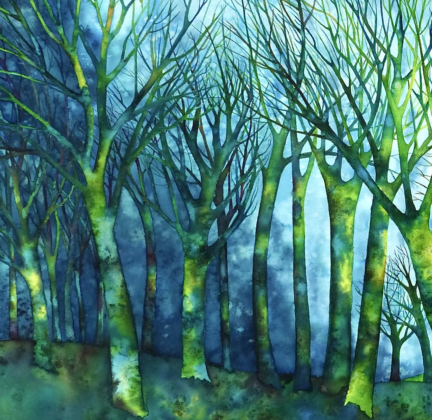 Forest Moon.JPG