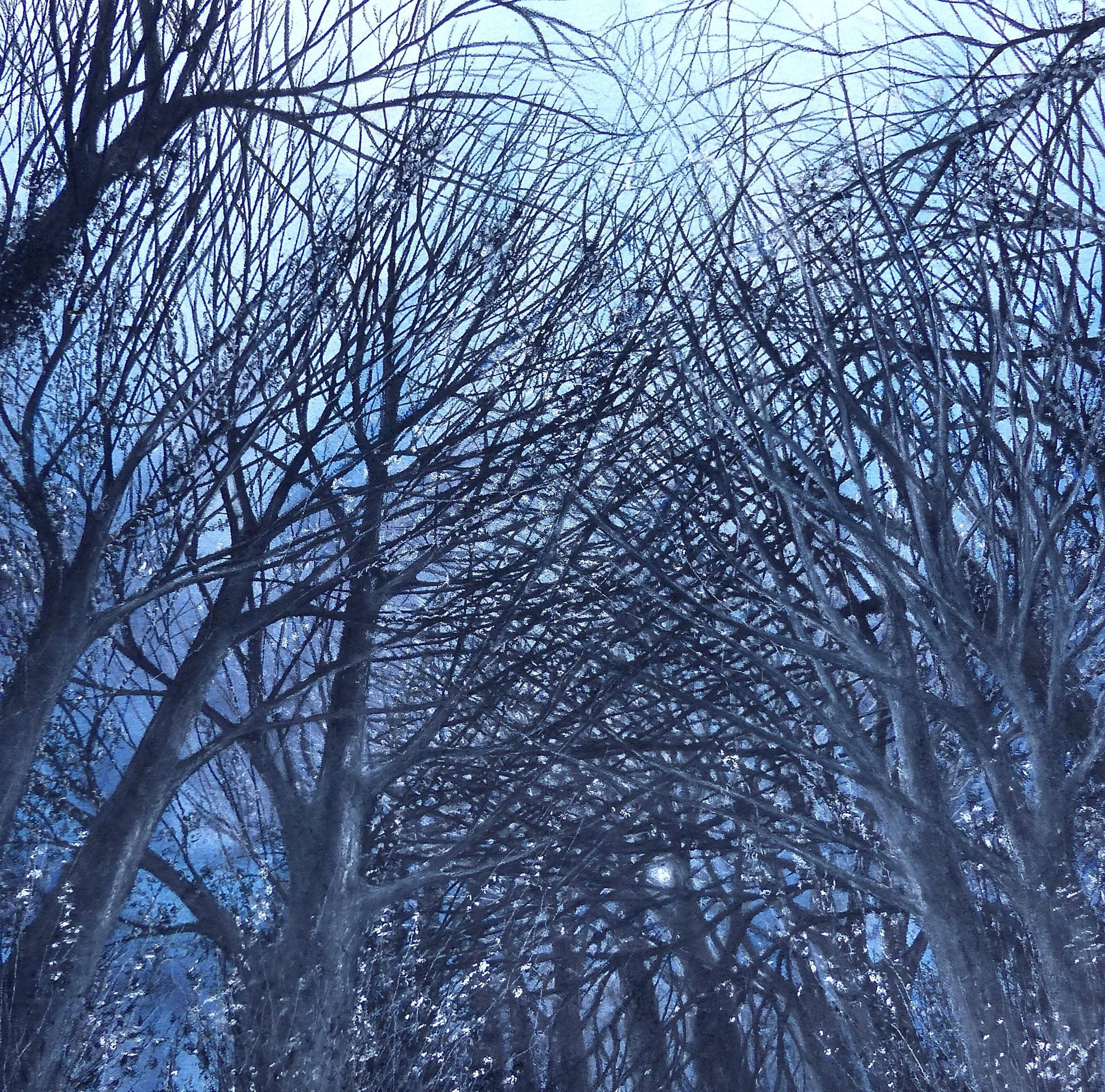 Woven Moon