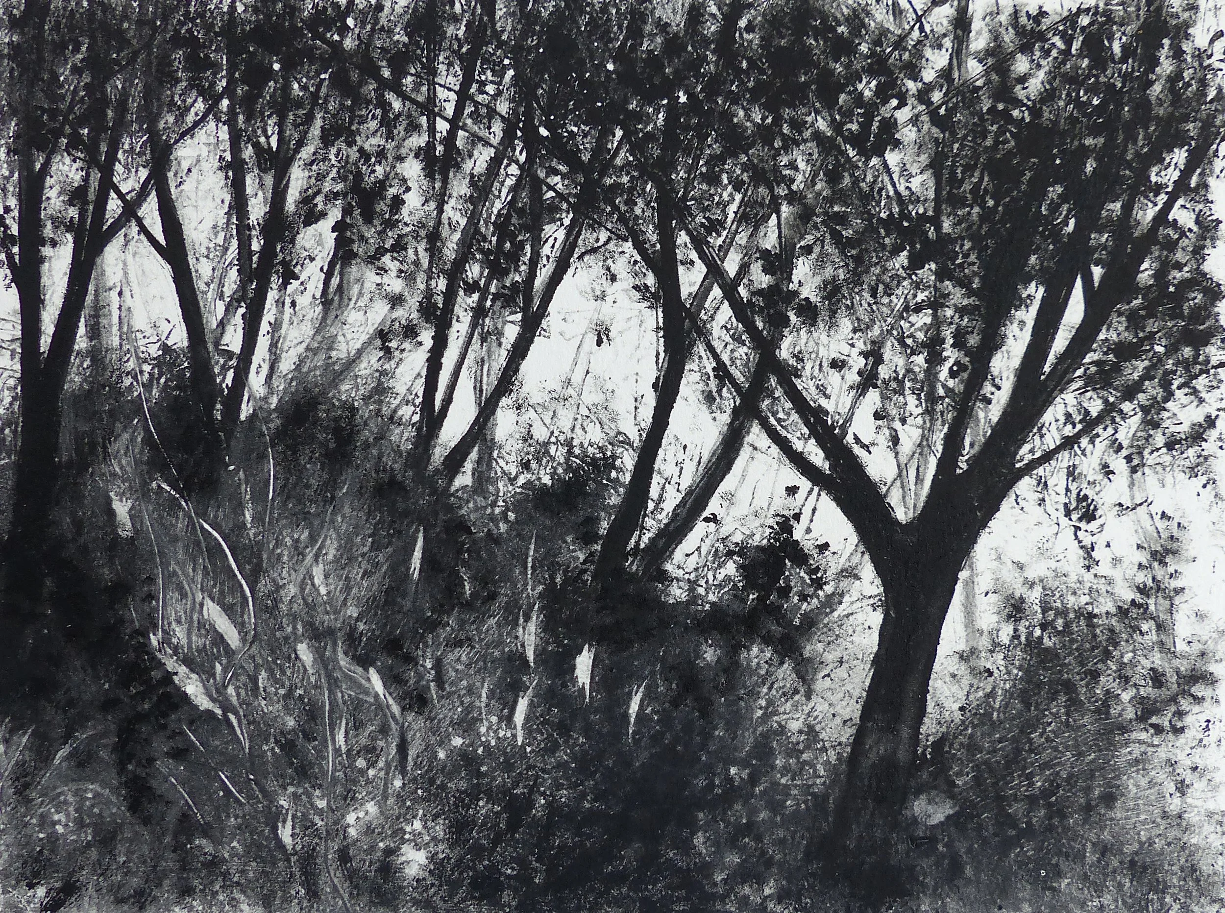 Wood Light I