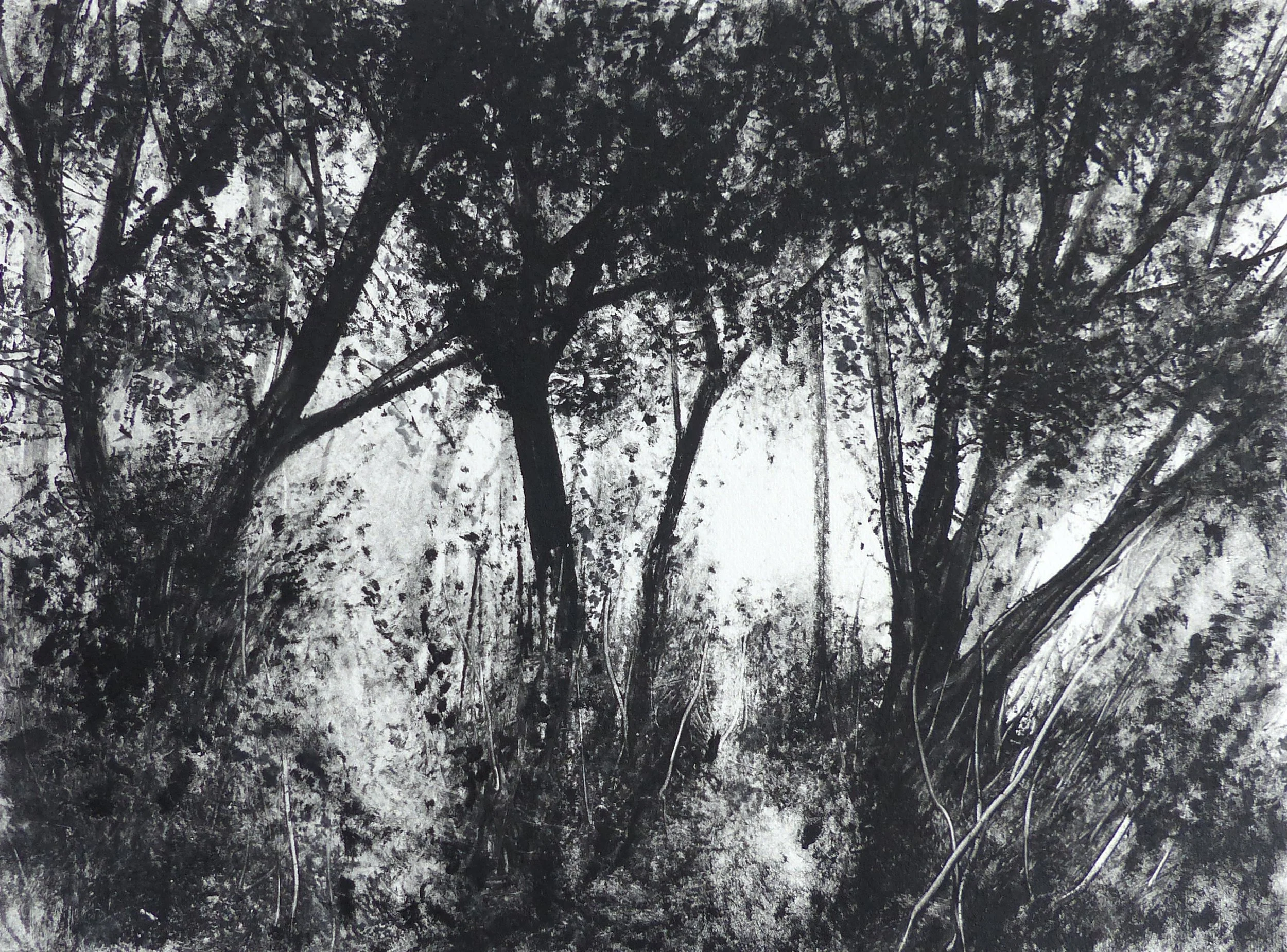 Wood Light II