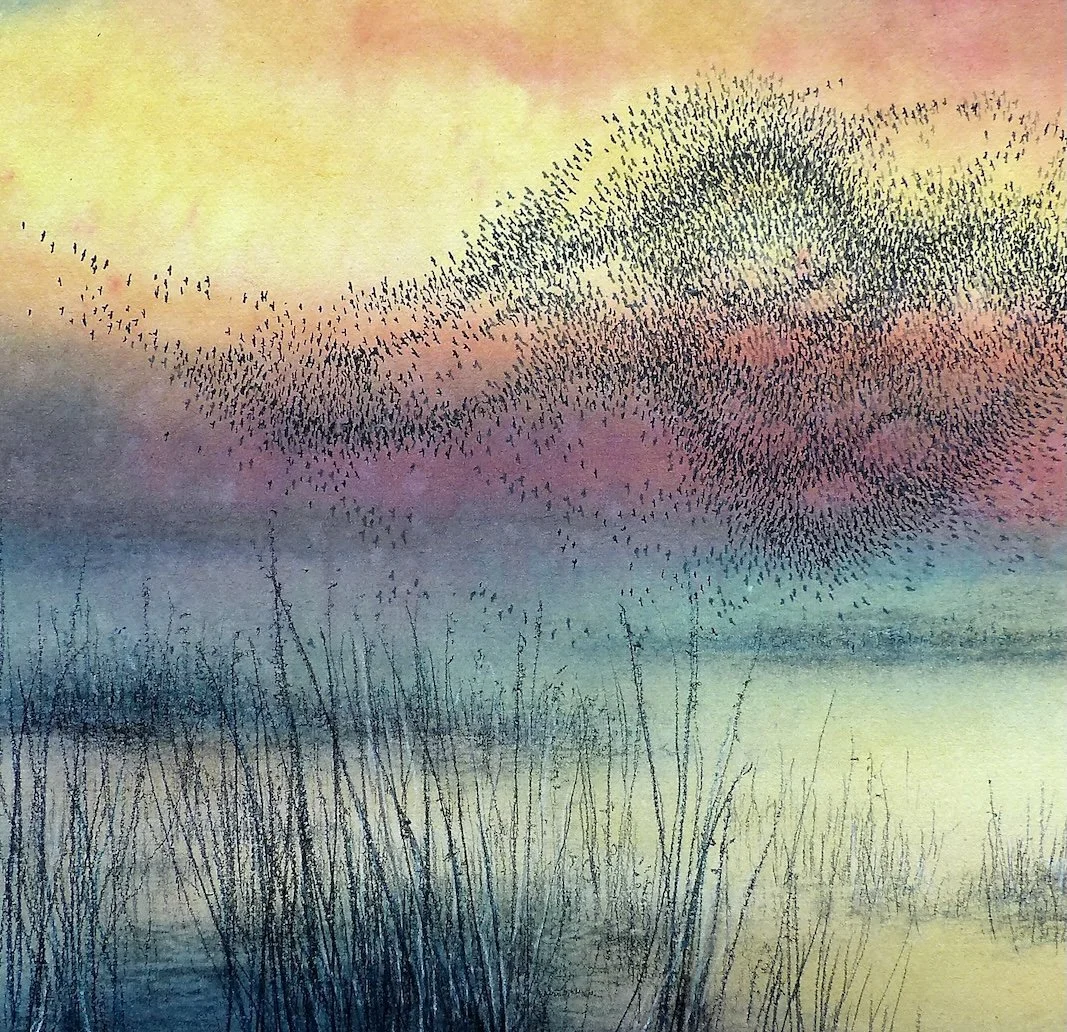 Marsh Murmur