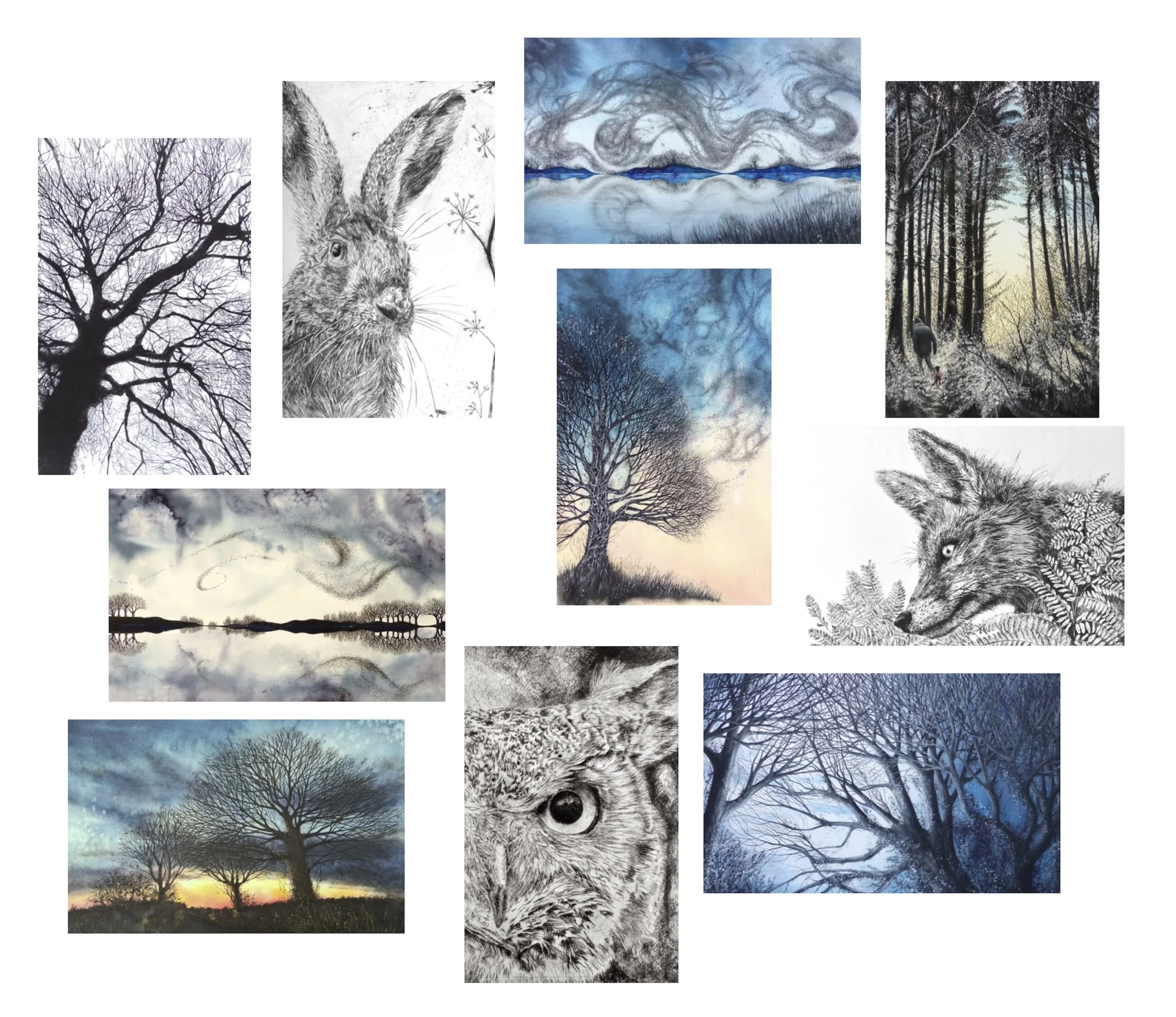 image of all postcards 2026.jpg