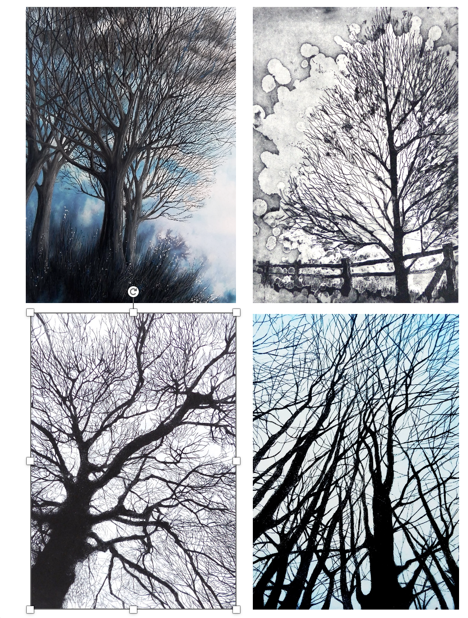 Card Set 3 : BranchLines