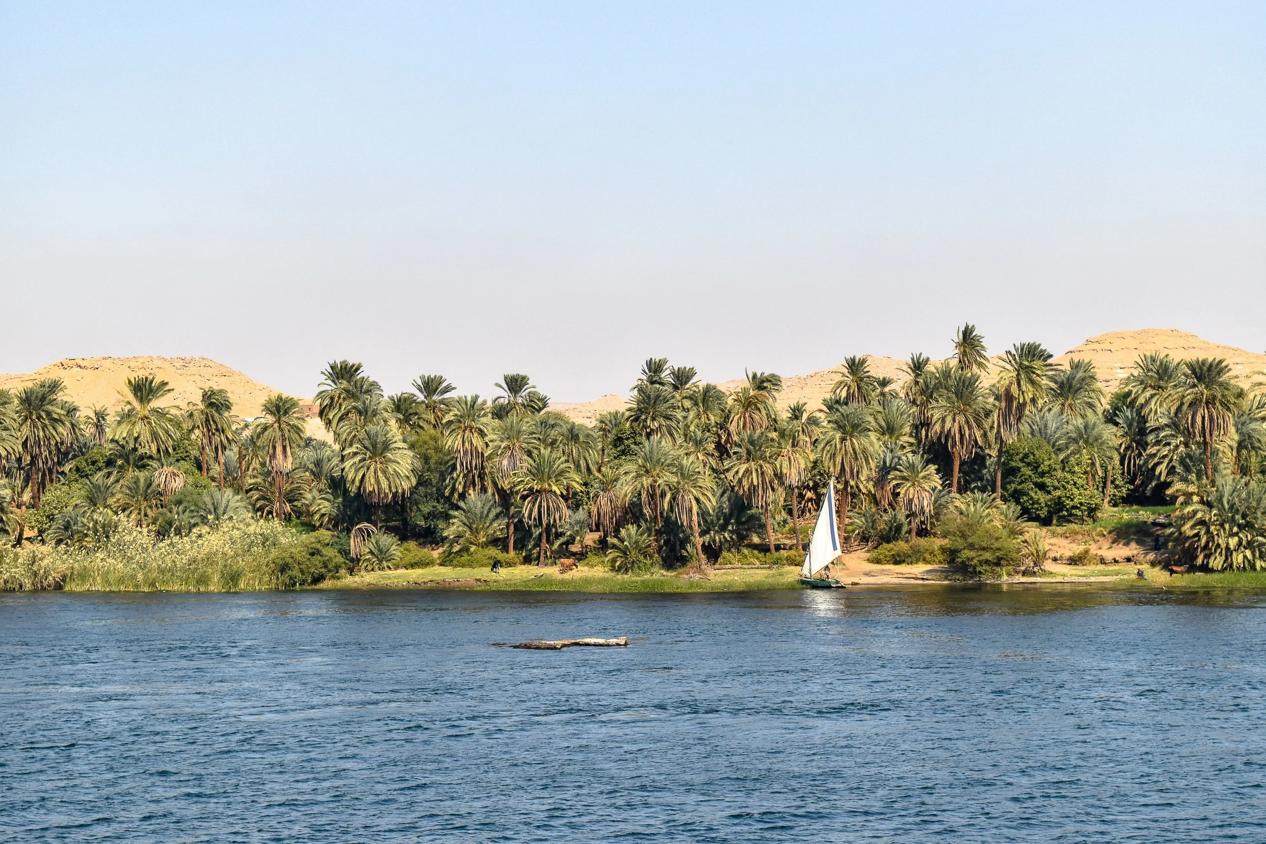 Nile River_ Egypt -2.3 MB.jpg
