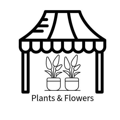 Vendor Rush: Orlando | Plants & Flowers | May 30th 2026 11am-5pm