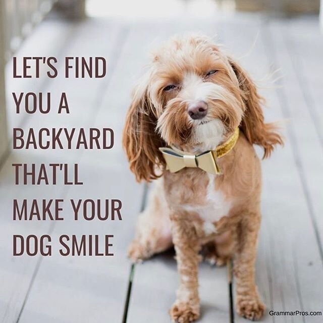 A great home for your pet is important too!! 🐶 .
.
.
.
.
.
#HOURealEstate #HOUSTONRealEstateAgent #HomeBuyerEducation
#BlackWomenInRealEstate #HOUSTONBlackRealEstate #RealEstateInHouston #HomesInHouston #BlackRealEstateAgents #HoustonHomes #FirstTim