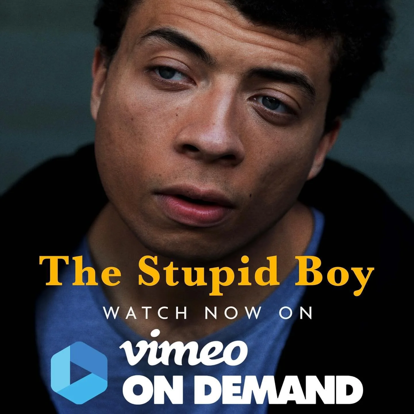 You can finally watch and even own The Stupid Boy on @vimeo - Link in bio