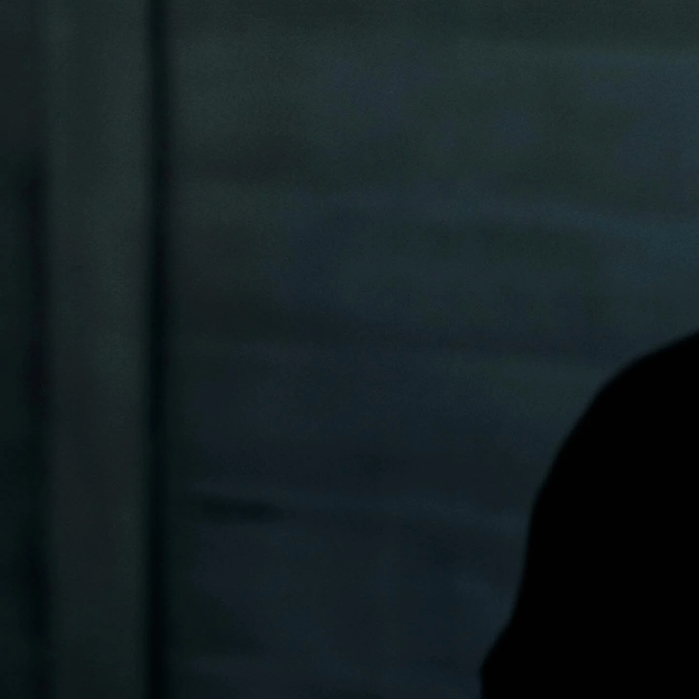 You can finally watch and even own The Stupid Boy on @vimeo - Link in bio