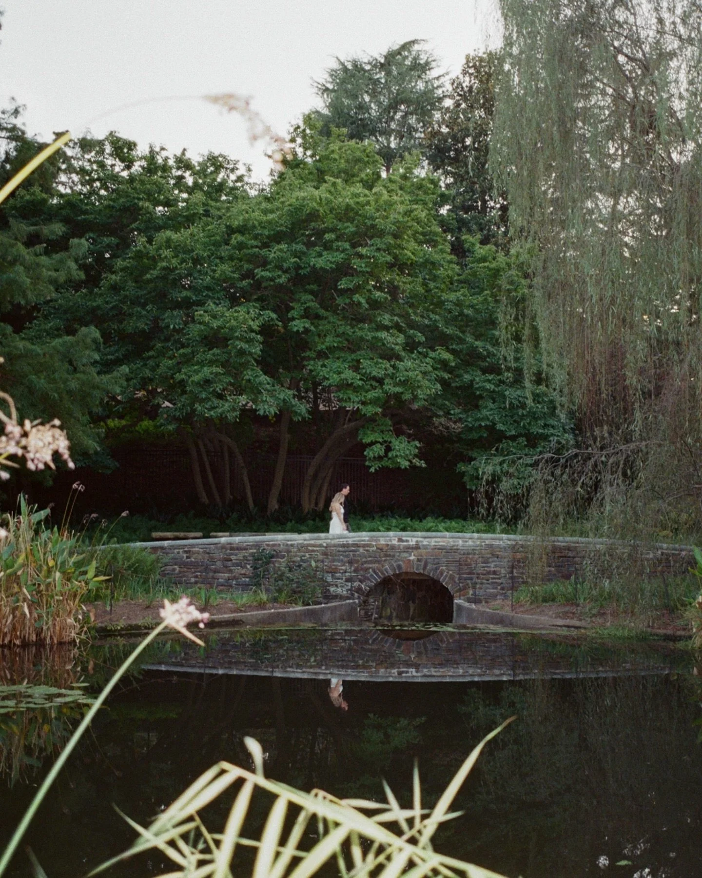 @meagkane &amp; Drew&rsquo;s engagement session at the @sarahpdukegardens on film and digital 

We got perfect fall weather making this a great start to a very busy season

Film scanned and developed by @nicefilmclub 
_____________________
Film photo