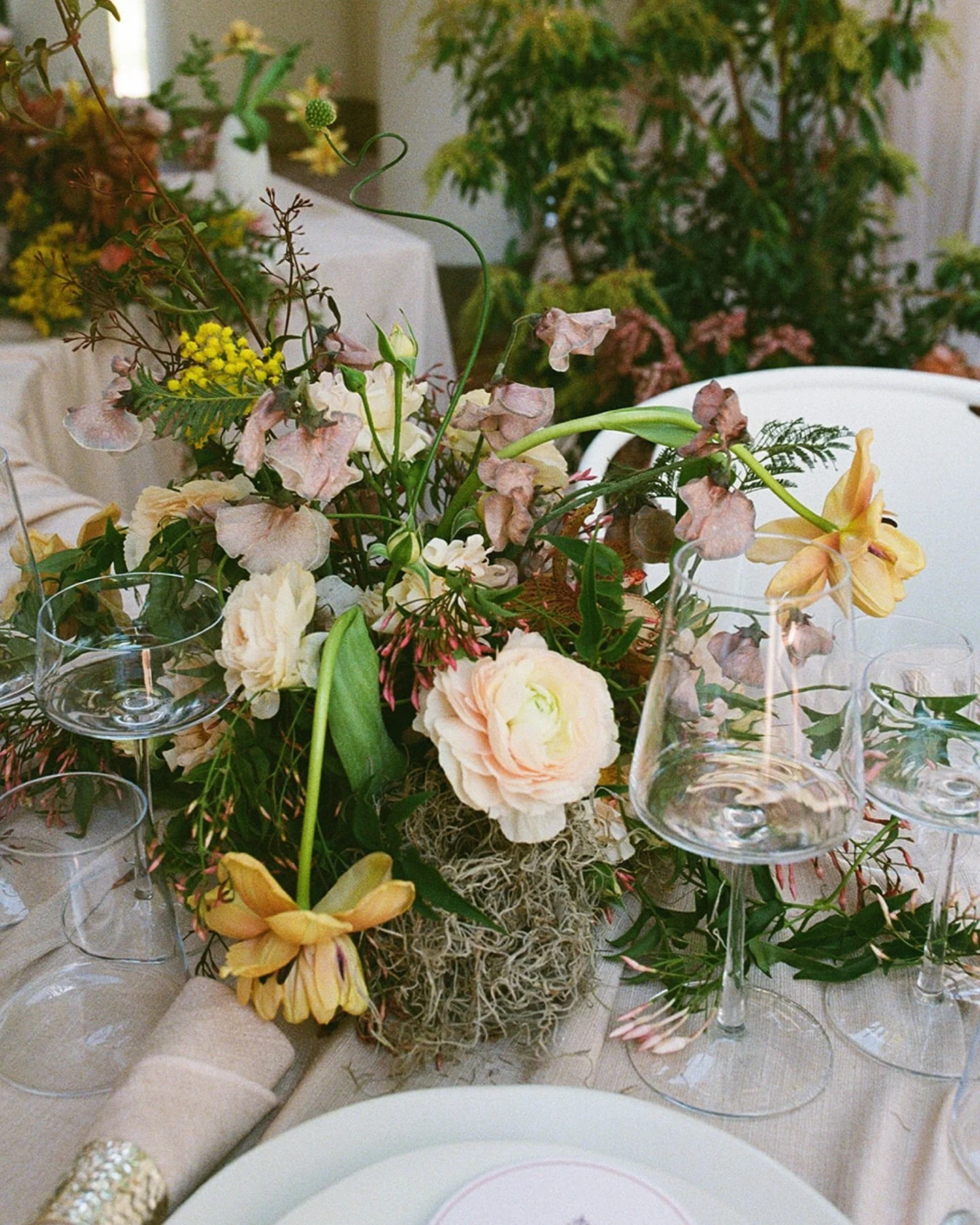 I’ve found myself drawn more and more to my film work in the last year, so in order to offer more film heavy weddings & sessions, my pricing in 2026 will increase (cause film is expensive )
I take a limited number of weddings per year sinc