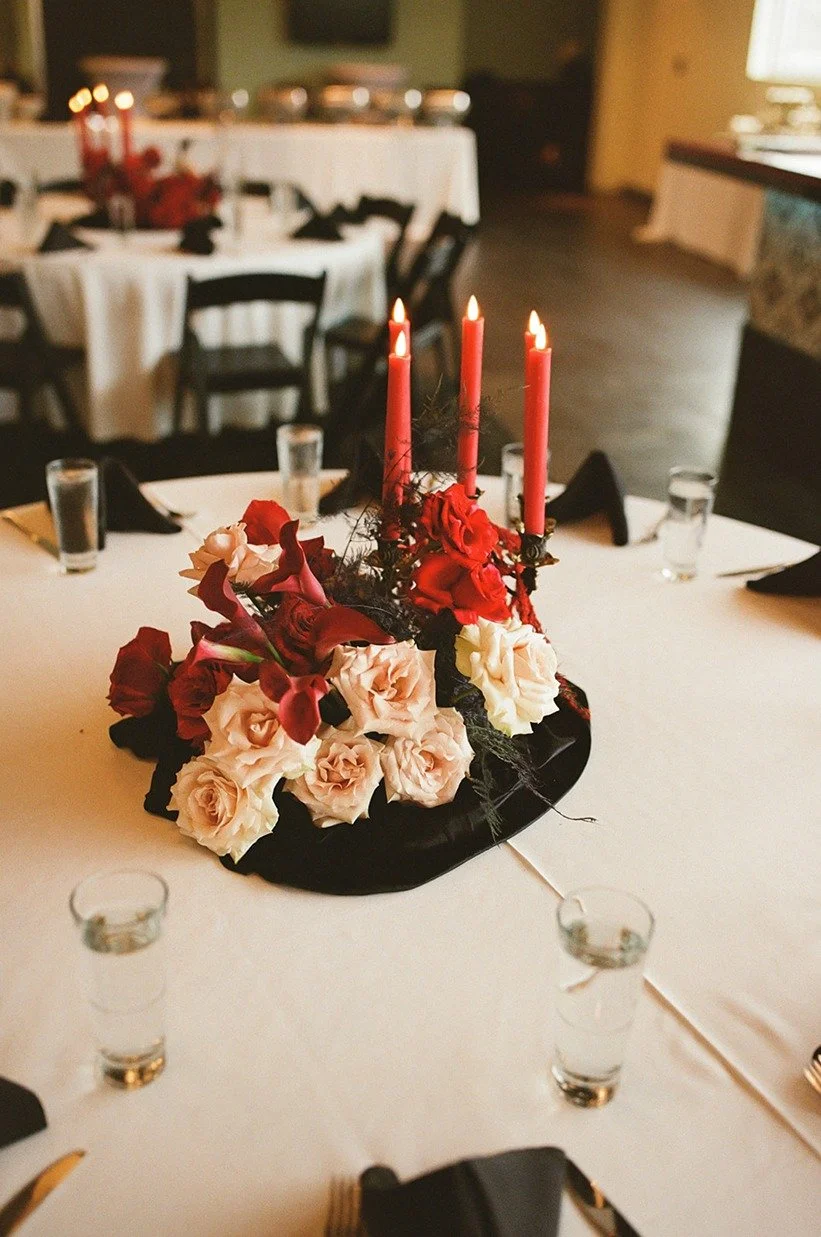 ​botanical lounge photos