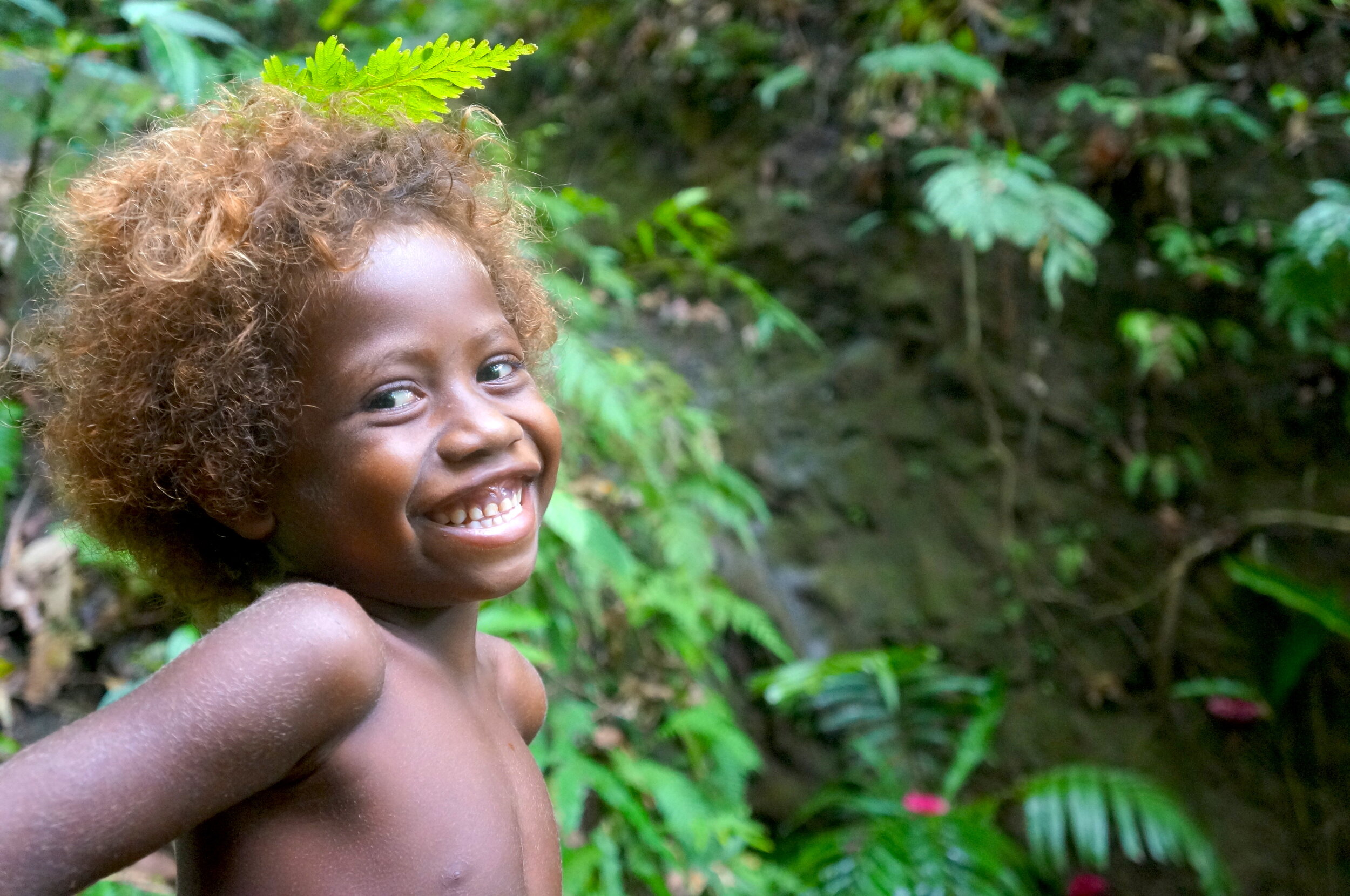 Solomon Islands: Fortification Investments Fortify Against COVID-19 Shocks