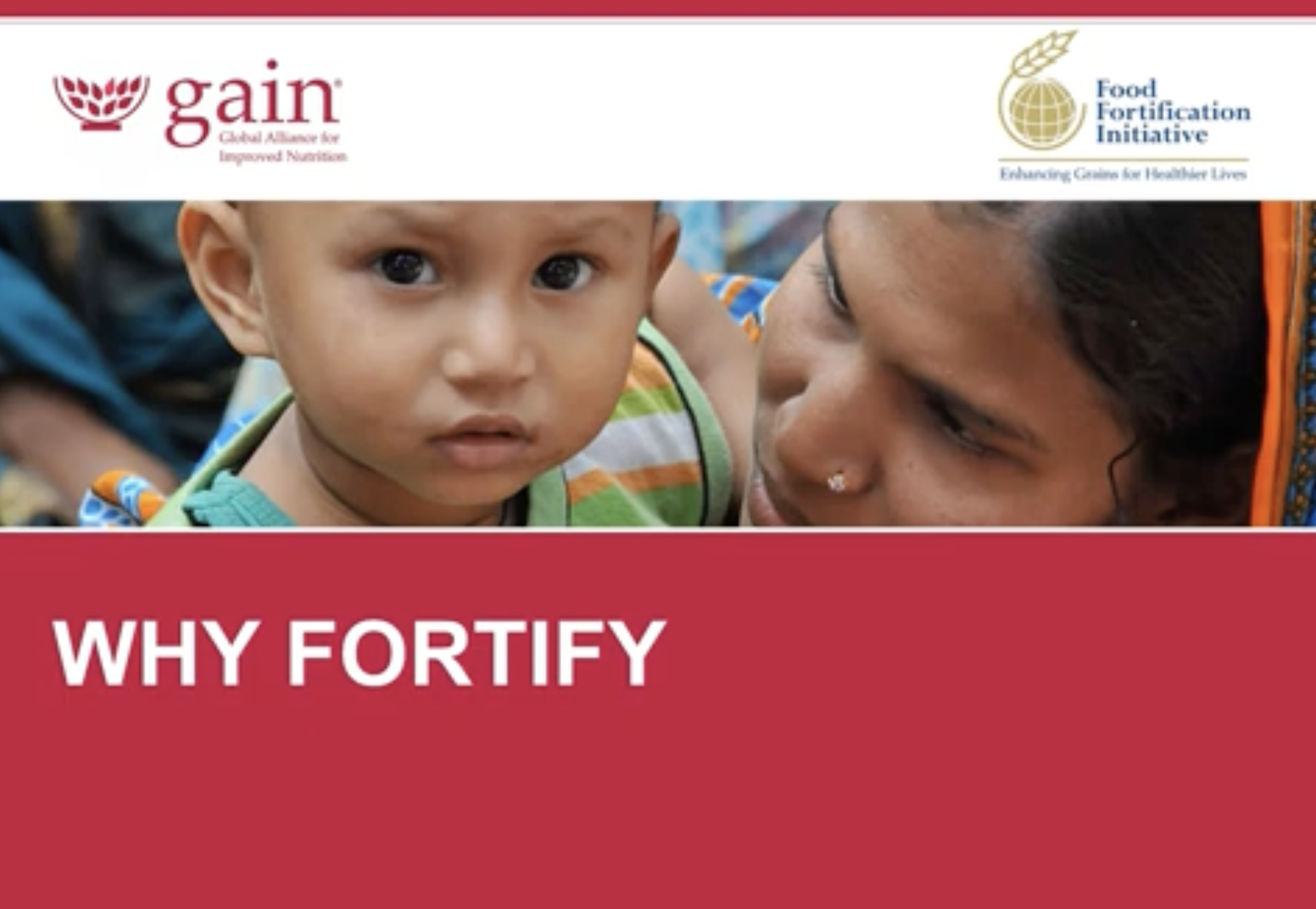 2. Why Fortify?
