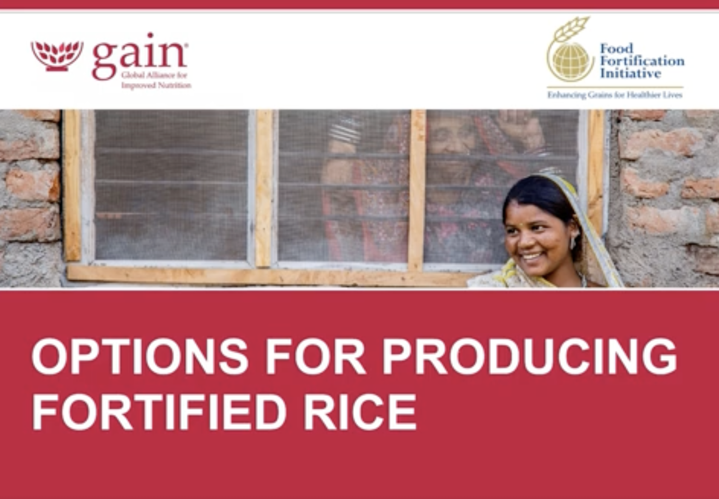 3. Options for Producing Fortified Rice