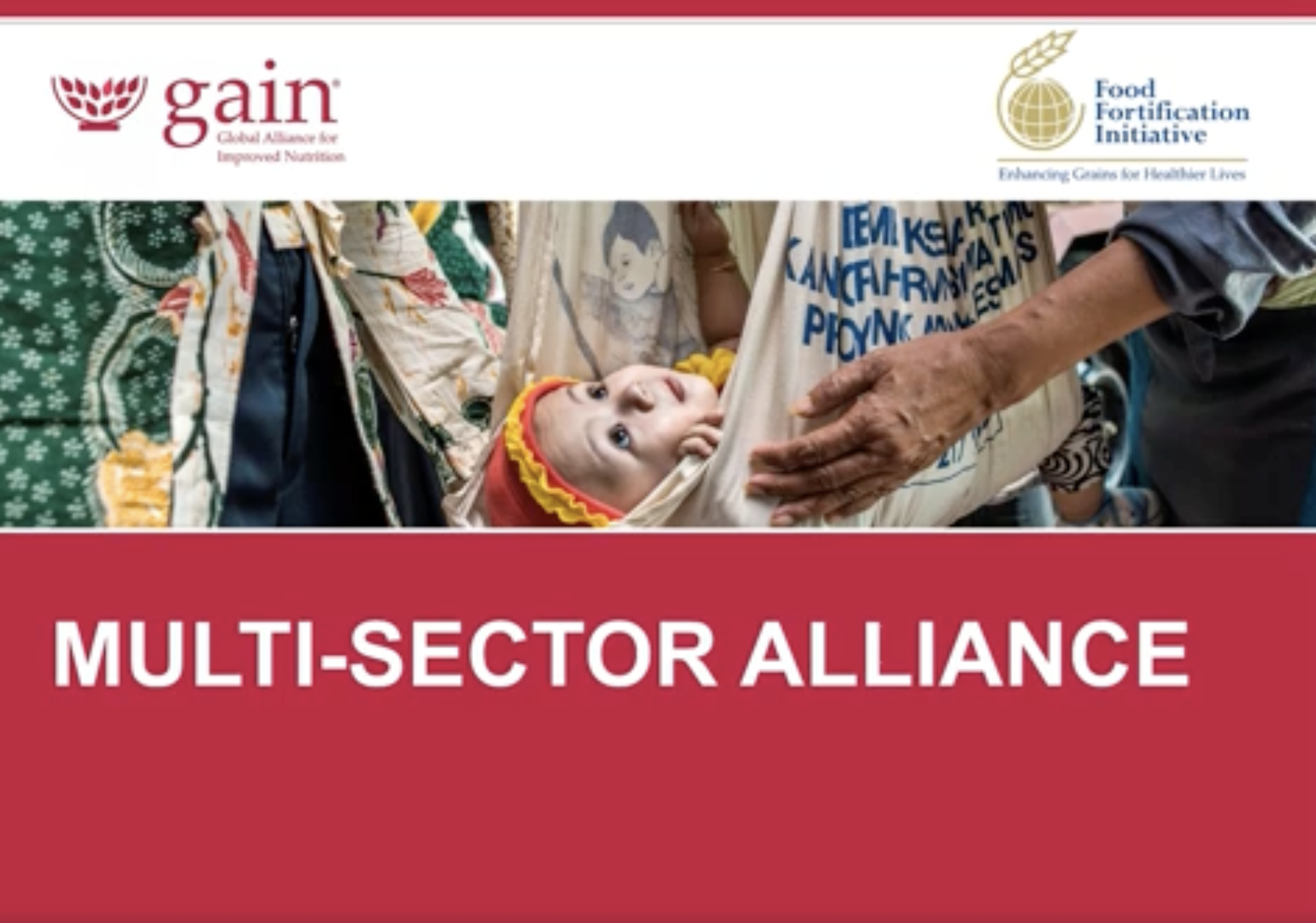 4. Multi-Sector Alliance
