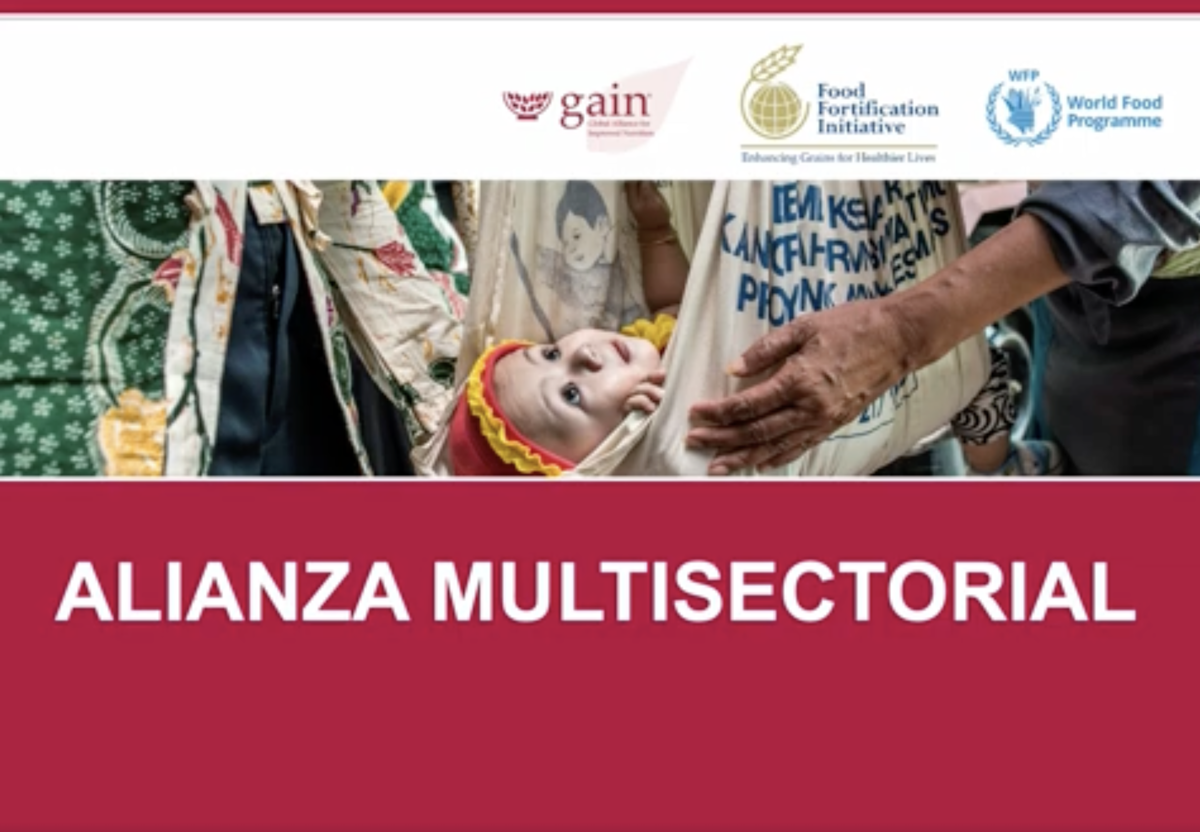 4. Multi-Sector Alliance