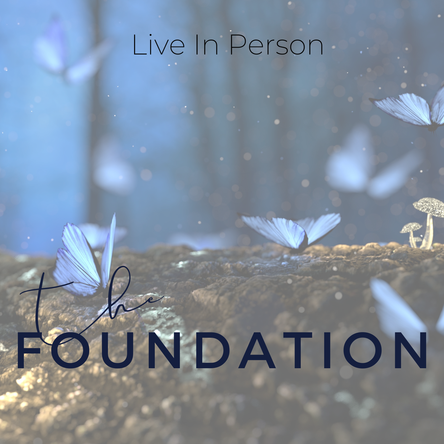 The Foundation Class 