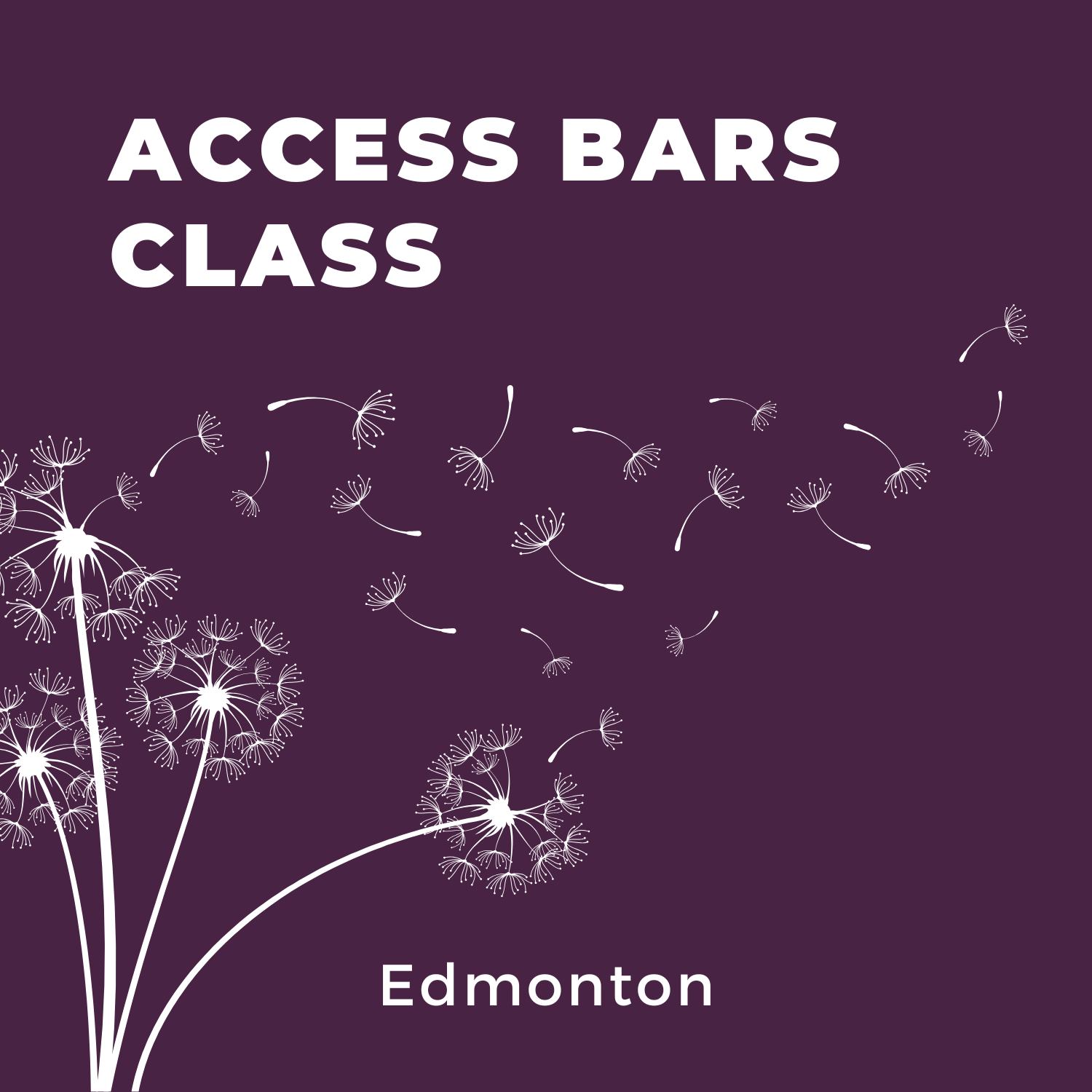 August Access Bars Class ~ Edmonton