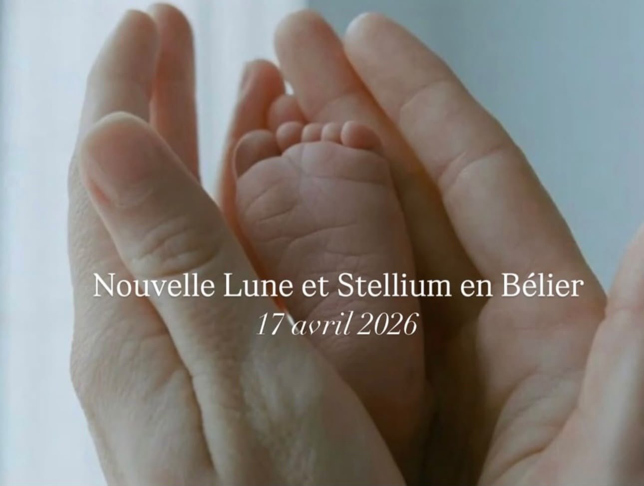 STELLIUM BÉLIER - AVRIL 2026