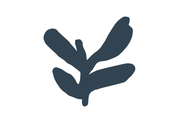 Blue plant illustration