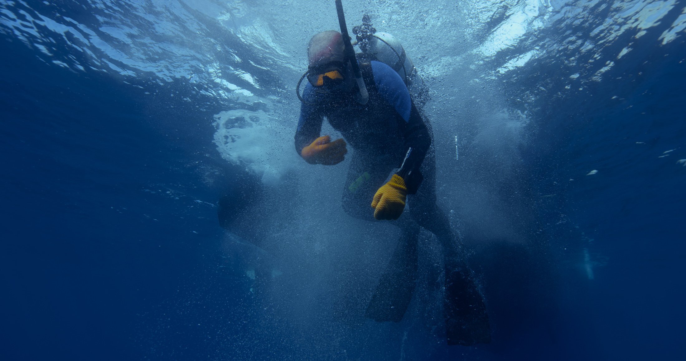 Film still: A diver descends below the surface of the ocean
