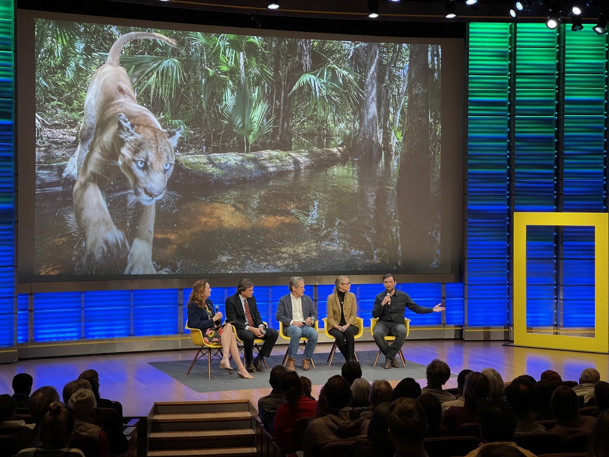 A panel sits on stage before a still from The Path of the Panther