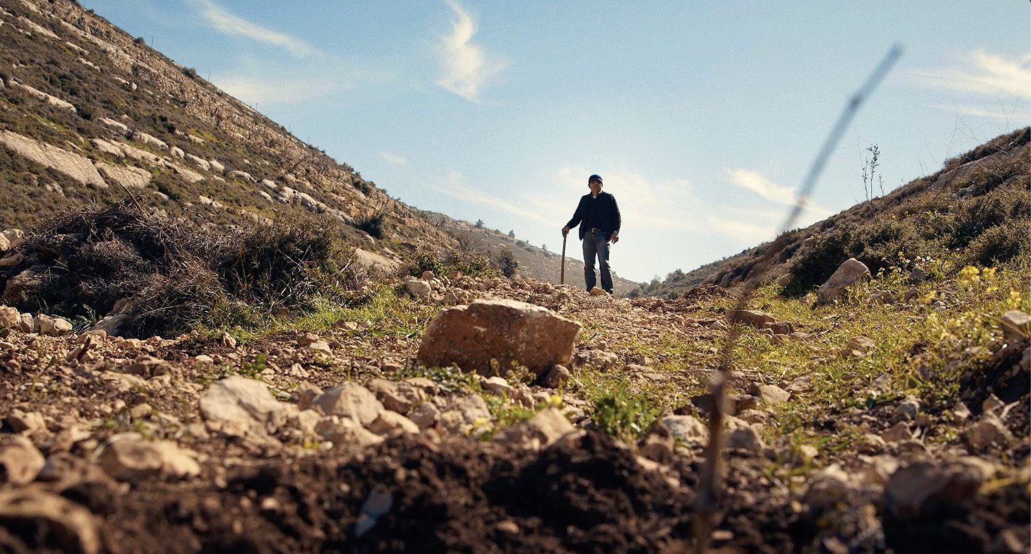A man with a cane stands on a hillside