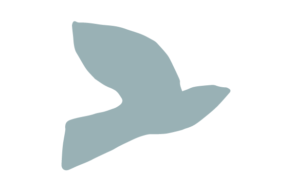 A blue dove illustration