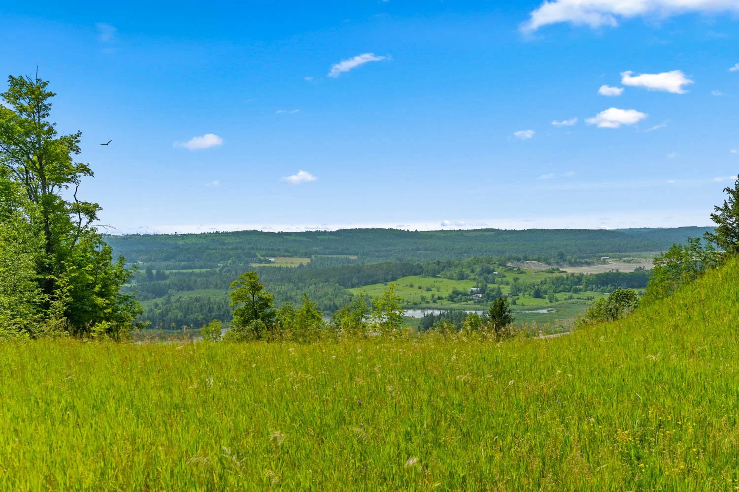 208 Ski Hill_102.jpg