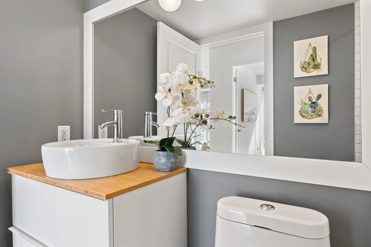 308 Palmerston_027.jpg