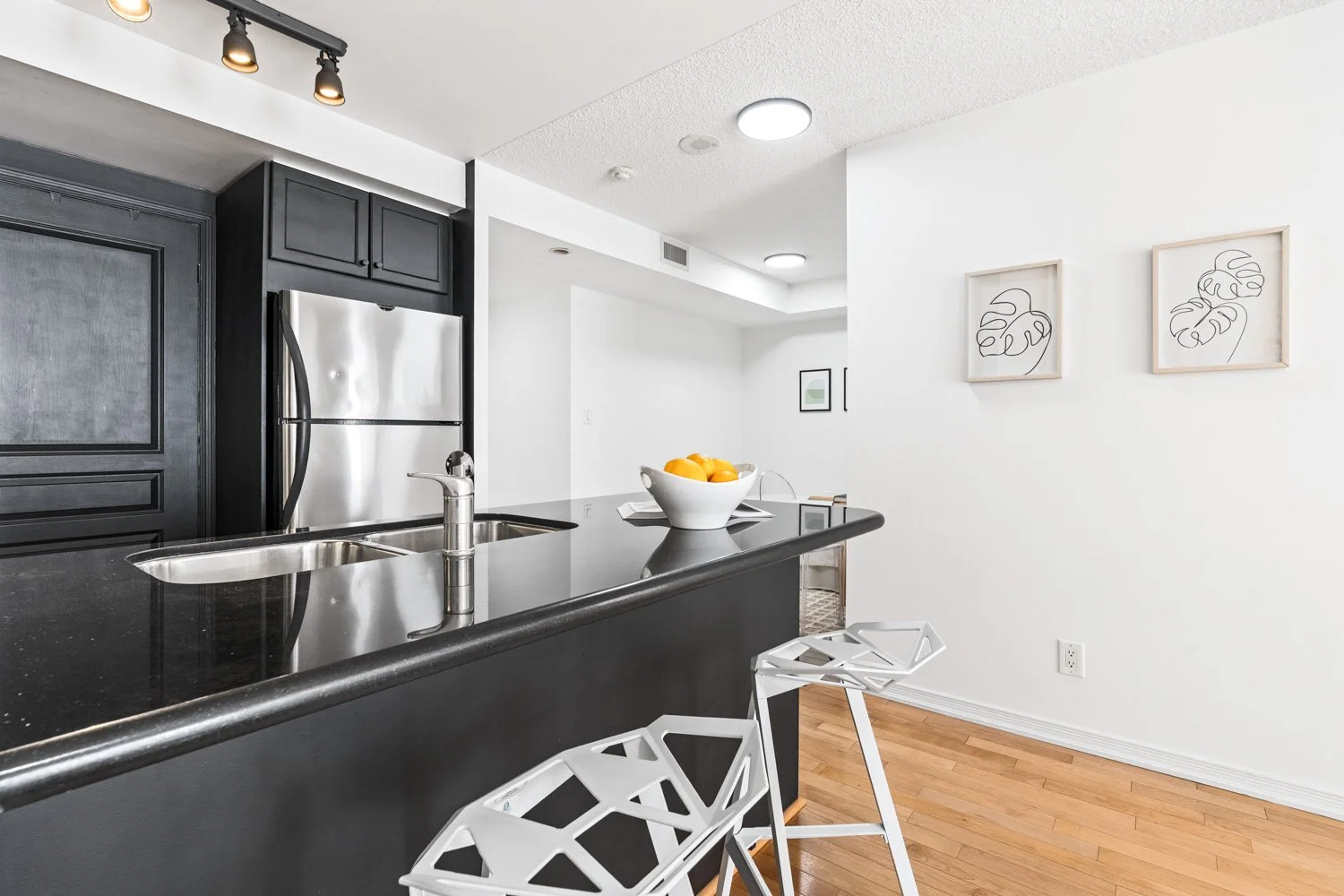 308 Palmerston_018.jpg